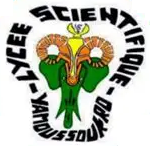 Logo du Lycée Scientifique de Yamoussoukro